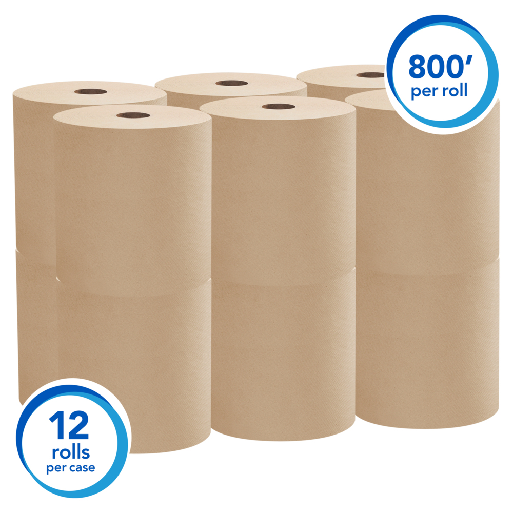 Reel Recycled Paper Towels, 12 Rolls, 2-Ply, Eco-Friendly, Hypoallergenic
