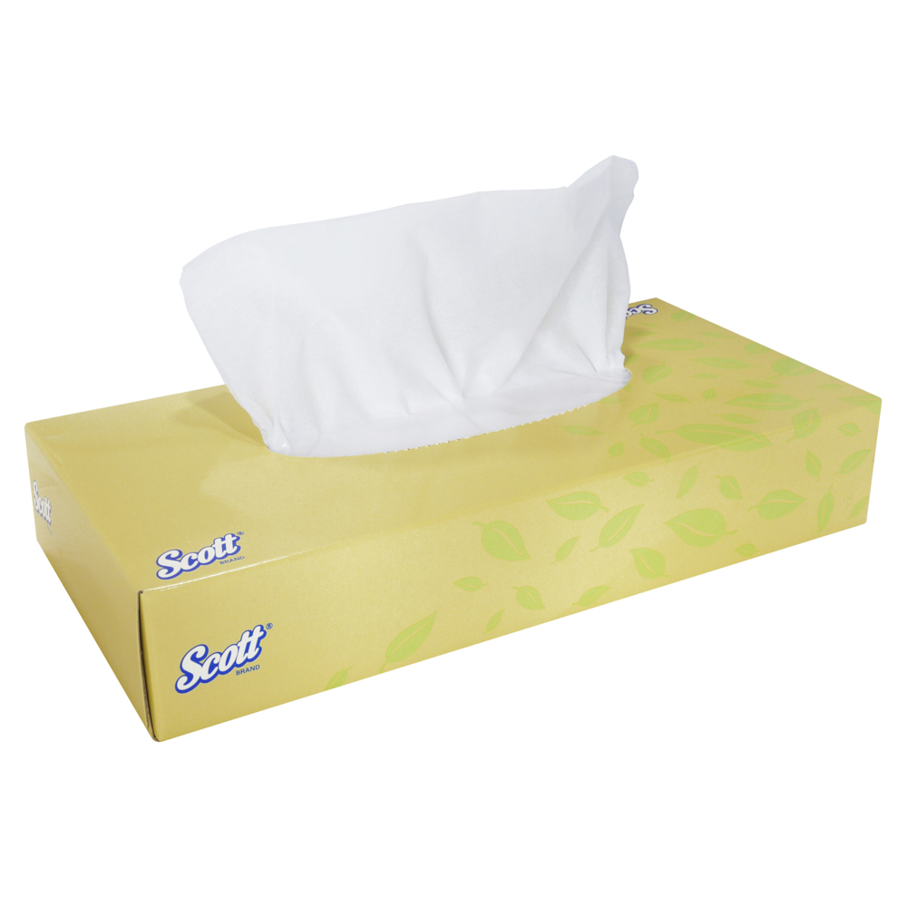 Scott® Facial Tissue (0229), White 2-Ply, 72 Boxes / Case, 100 Sheets / Box (72,000 Sheets) - S050058632