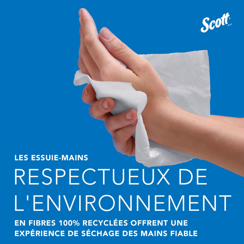 Essuie-mains Scott® Essential™ 6603 - Essuie-mains pliés fins - 12 paquets x 220 essuie-mains en papier blanc (2640 au total) - 6603